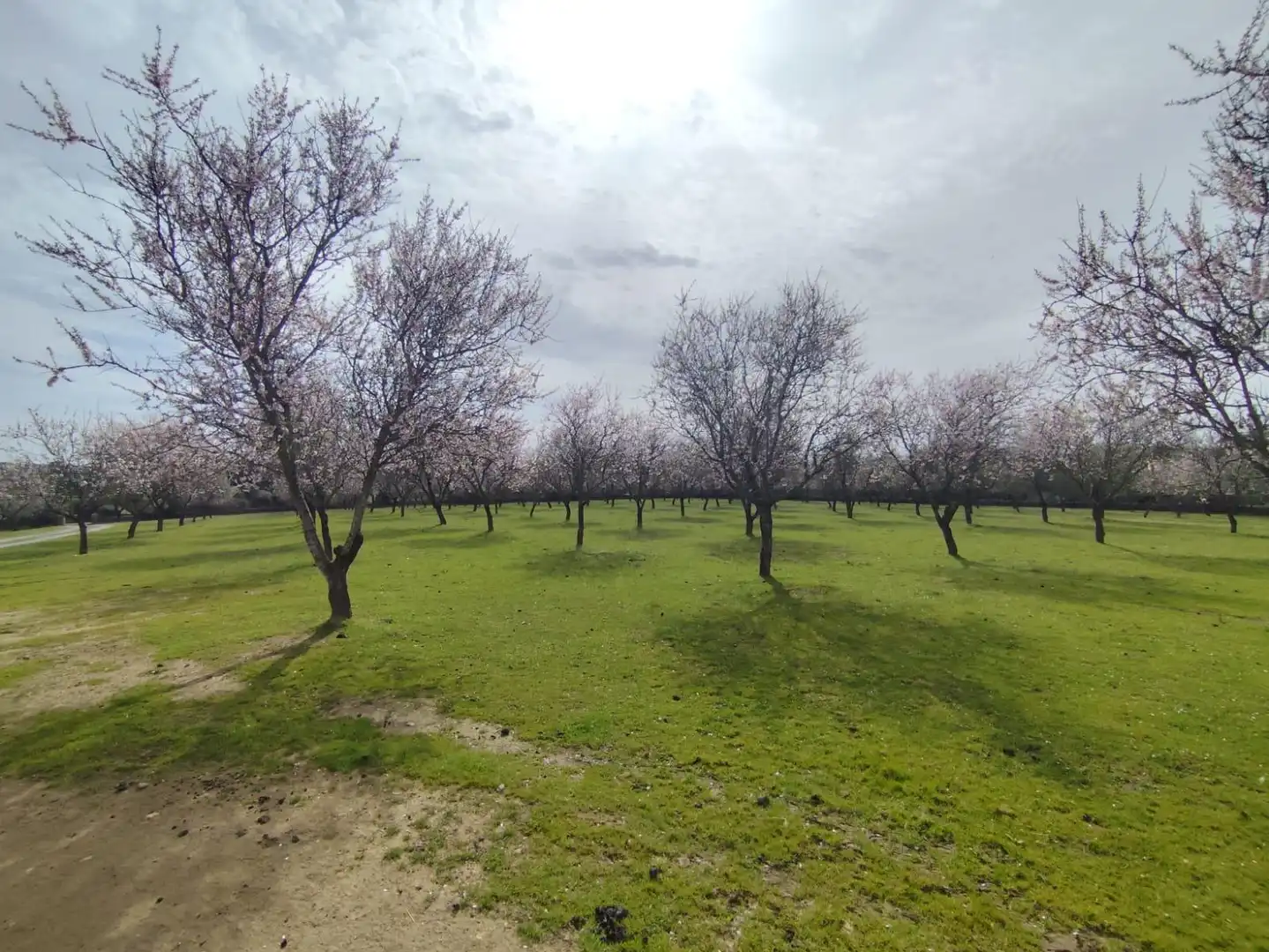 Finca rústica en venta en Malpartida de Plasencia con Piscina