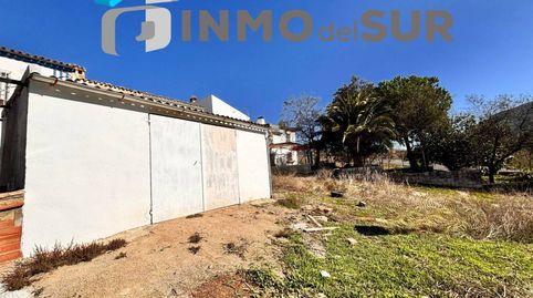 Foto 3 de Finca rústica en venta en Calle Diseminados, 515, Cabra, Córdoba