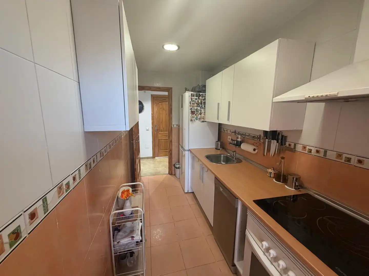 Kitchen of Attic for sale in Málaga  with Air Conditioner, Terrace and Furnished