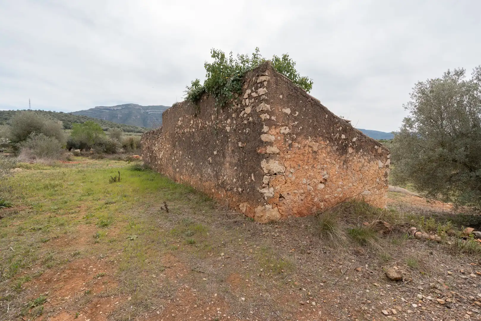 Casa o chalet en venta en Freginals con Calefacción