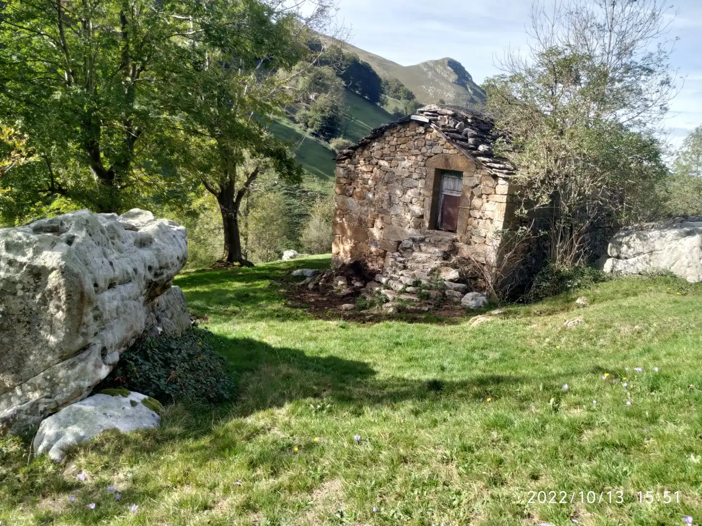 Houses for sale in Soba  with Private garden