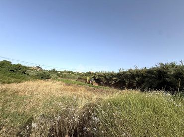 Terreno rustico in vendita a San José del Álamo - El Hornillo