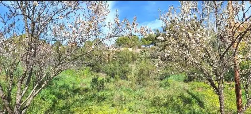 Terreni e lotti in vendita a Fresnedillas de la Oliva, imagen 2
