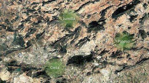 Solvia Inmobiliaria  Suelo Rústico Cieza, immagine 4
