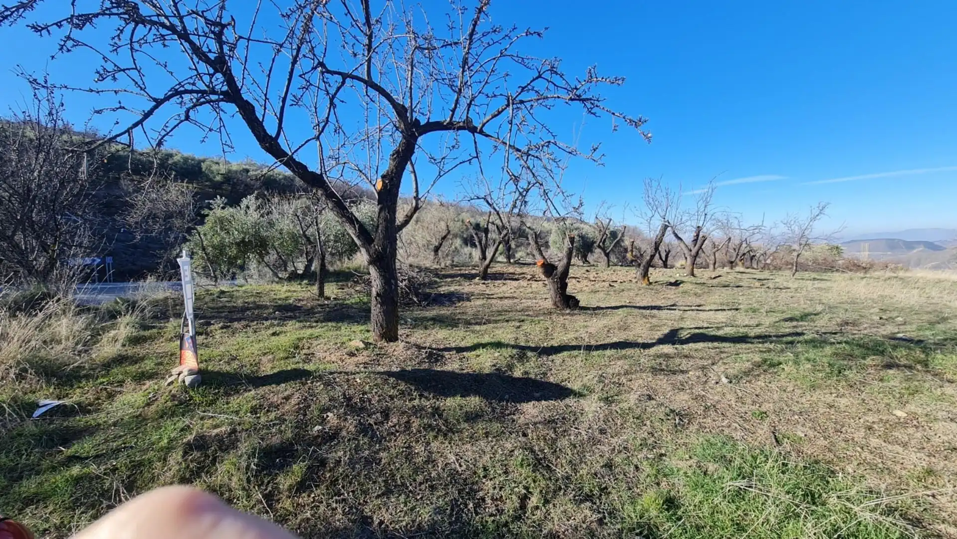 Rustikales Grundstück zum Verkauf in Pinos Genil, imagen 6