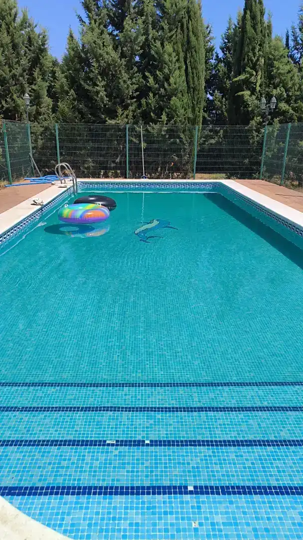 Swimming pool of Country homes for rent in Punta Umbría, Huelva