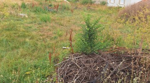 Foto 2 de Residencial en venda a Revilla de Santullán - Calle Real, Barruelo de Santullán, Palencia