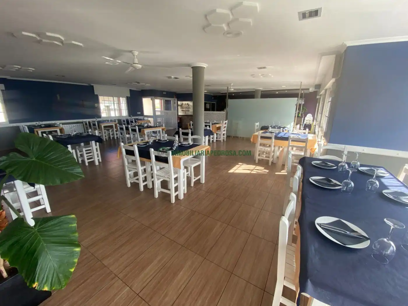 Finca rústica en venta en San Salvador - Caeira