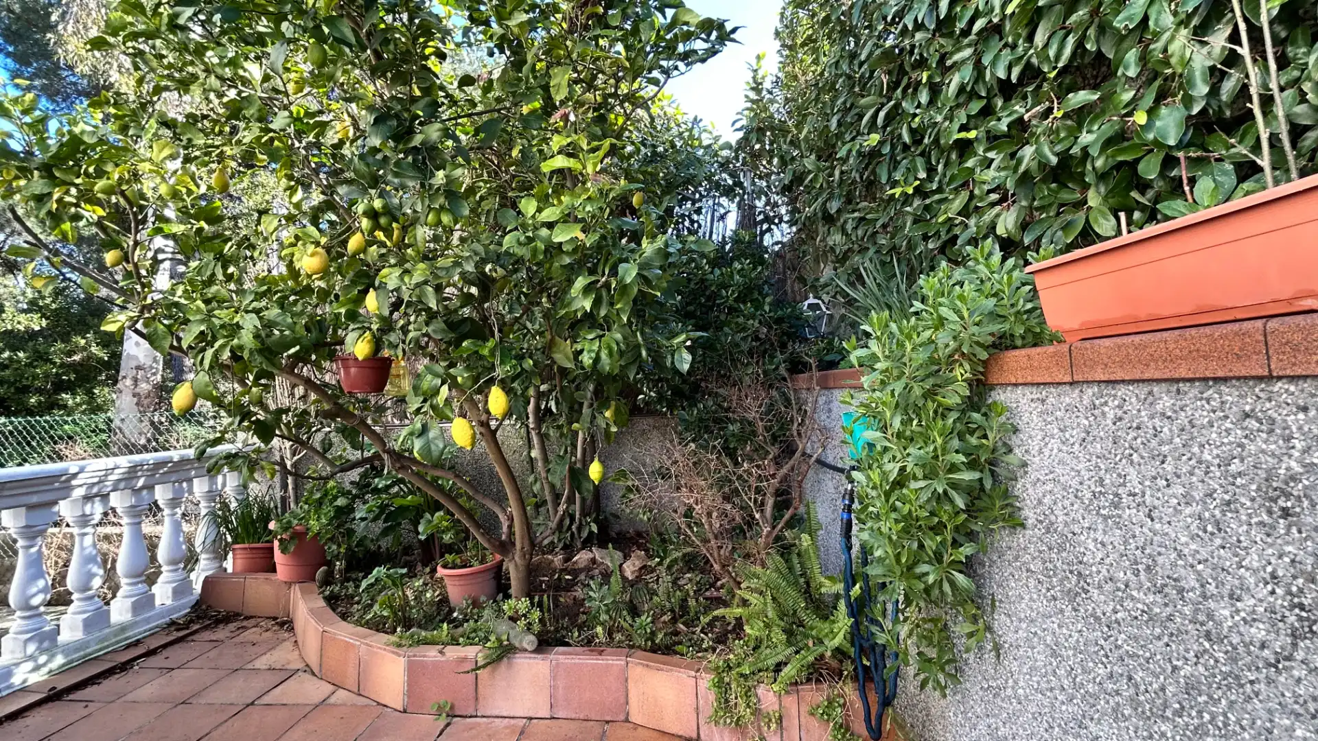 House with garden for sale in Vallromanes, imagen 24