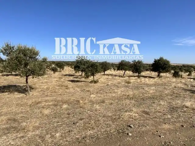 Grundstücke und Bauplätze zum Verkauf in Arroyo de la Luz, imagen 15