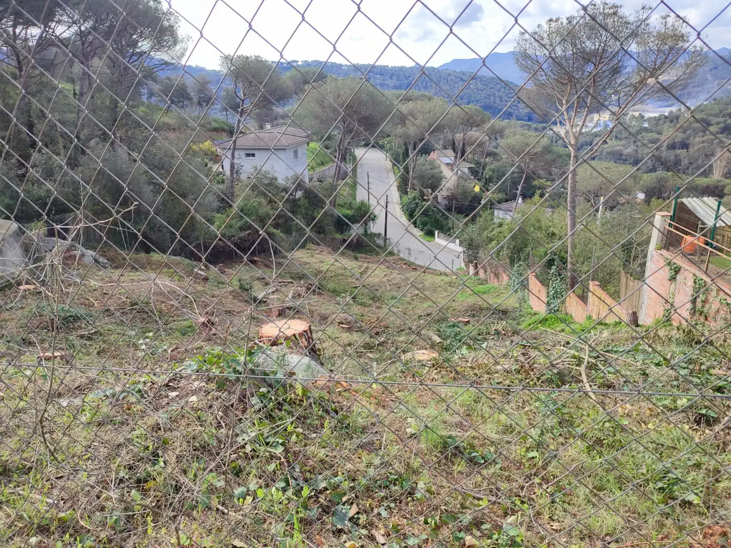 Terreny residencial en venda a mil pins 55, imagen 5