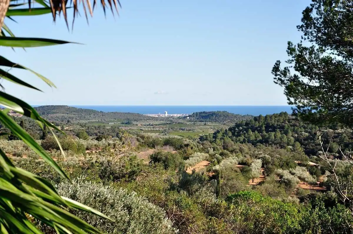 Casa o xalet en venda en Cervera del Maestre amb Aire condicionat, Calefacció i Jardí privat