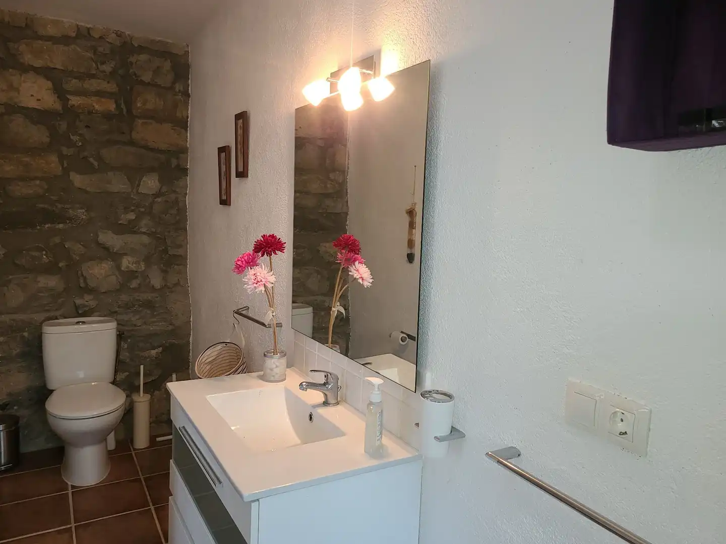 Casa rústica amb jardí en venda a olot, imagen 25