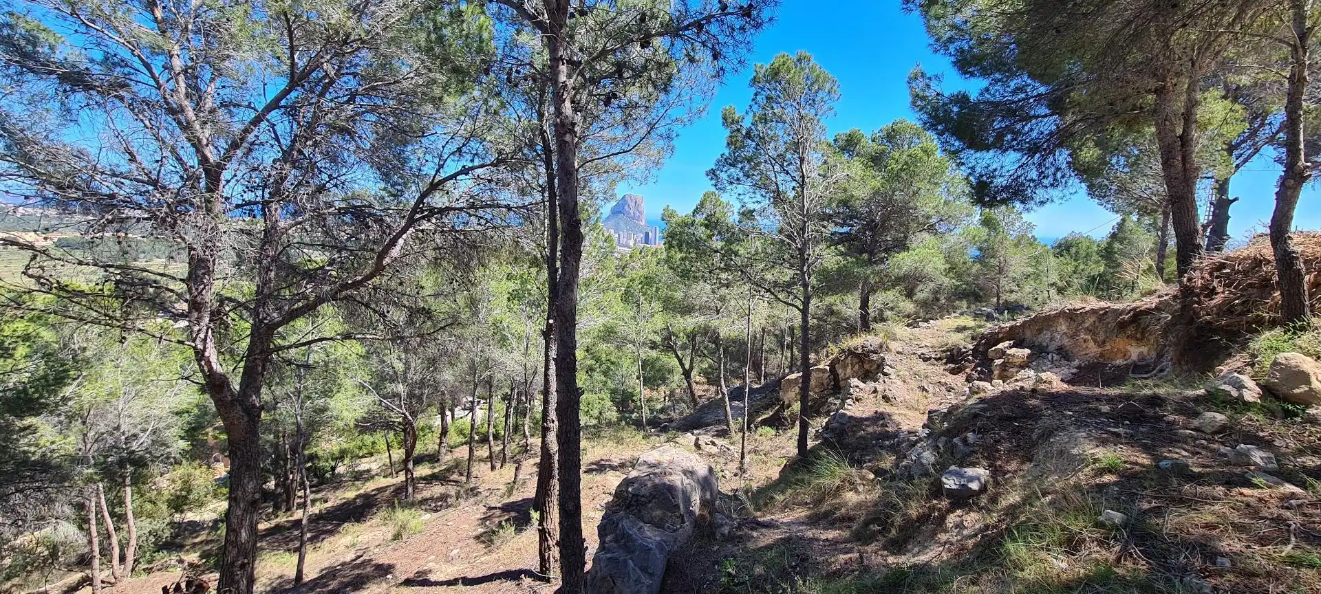 Residential land for sale in Oltamar - Cucarres, imagen 7