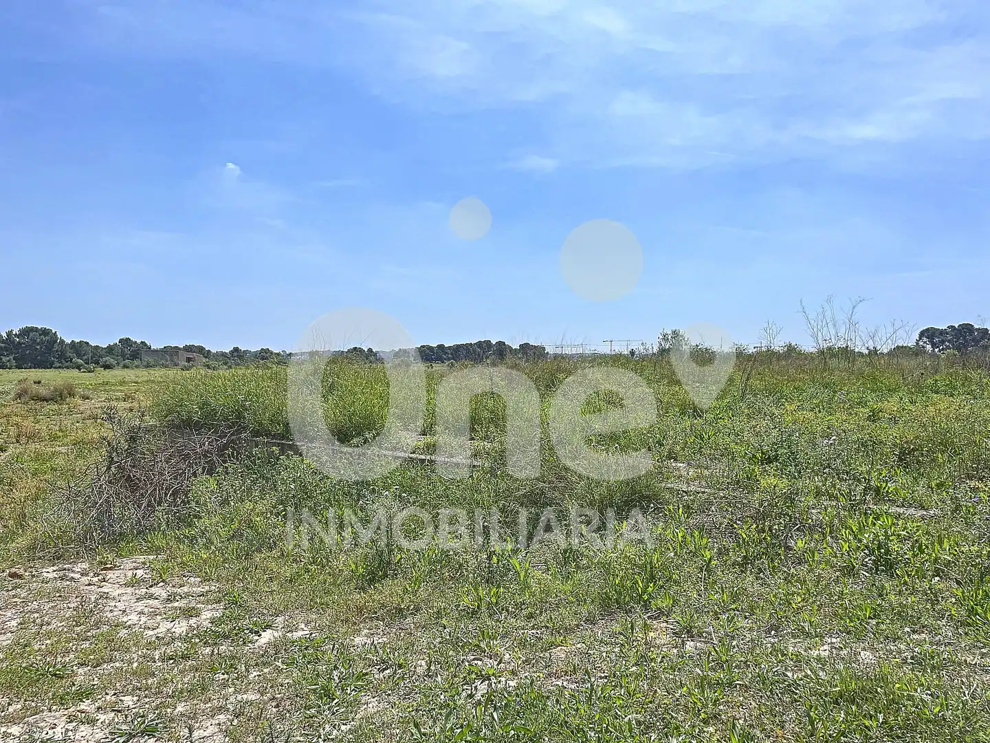 Residential land for sale in La Conarda - Montesano, imagen 2