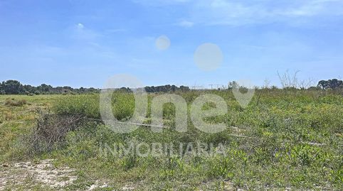 Photo 2 of Residential for sale in La Conarda - Montesano, Bétera