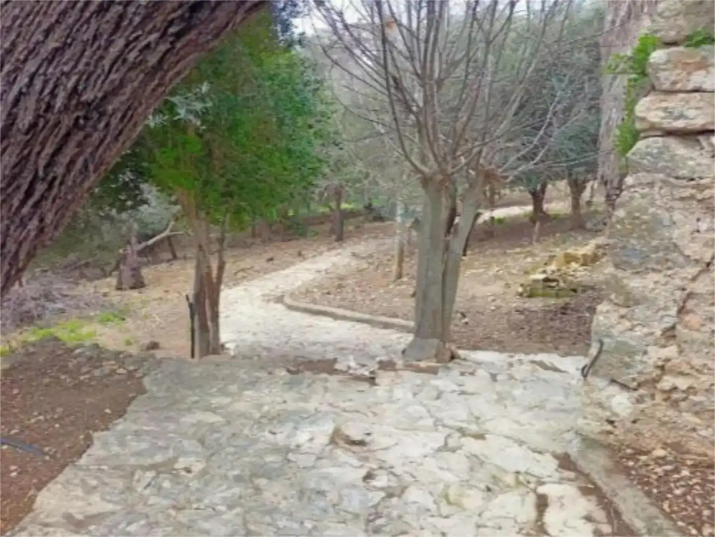 Piso en venta en Campanet con Jardín privado, Trastero y Piscina
