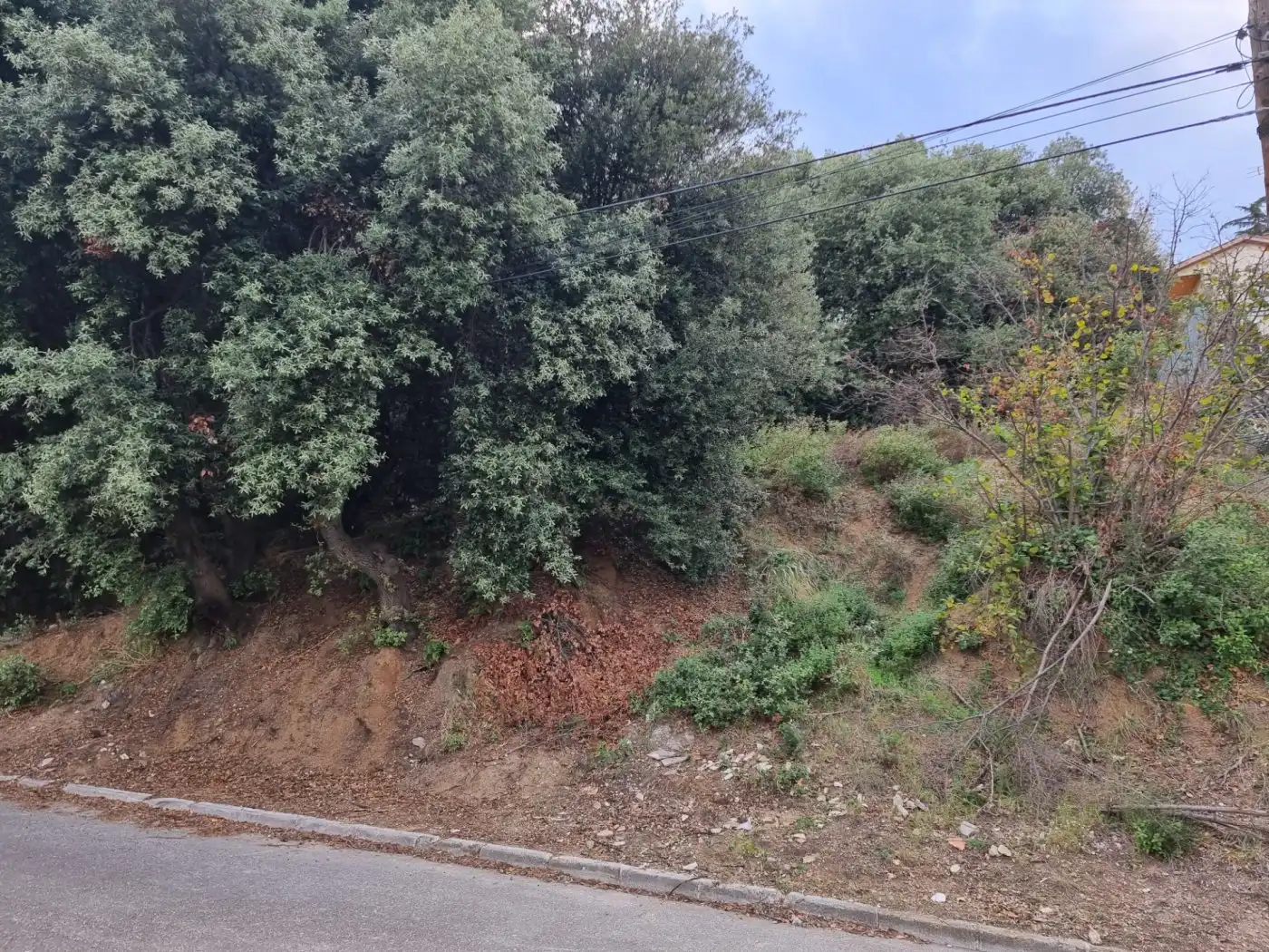 Lands and plots for sale in Calle MARGALLO, imagen 11