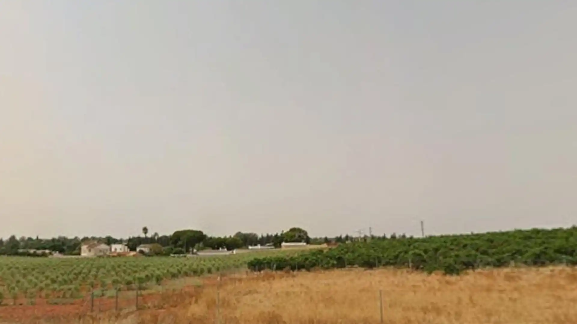 Casa o chalet en venta en Mairena del Alcor con Piscina comunitaria