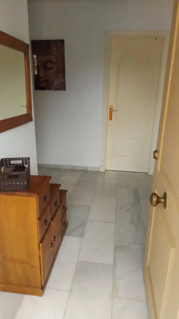 Apartments for rent in Algeciras  with Furnished and Community pool