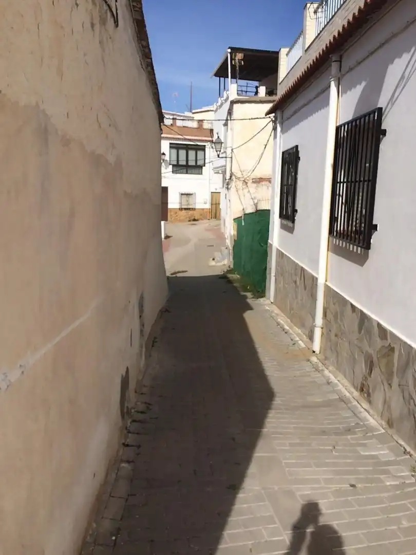 Vista exterior de Residencial en venta en Laujar de Andarax