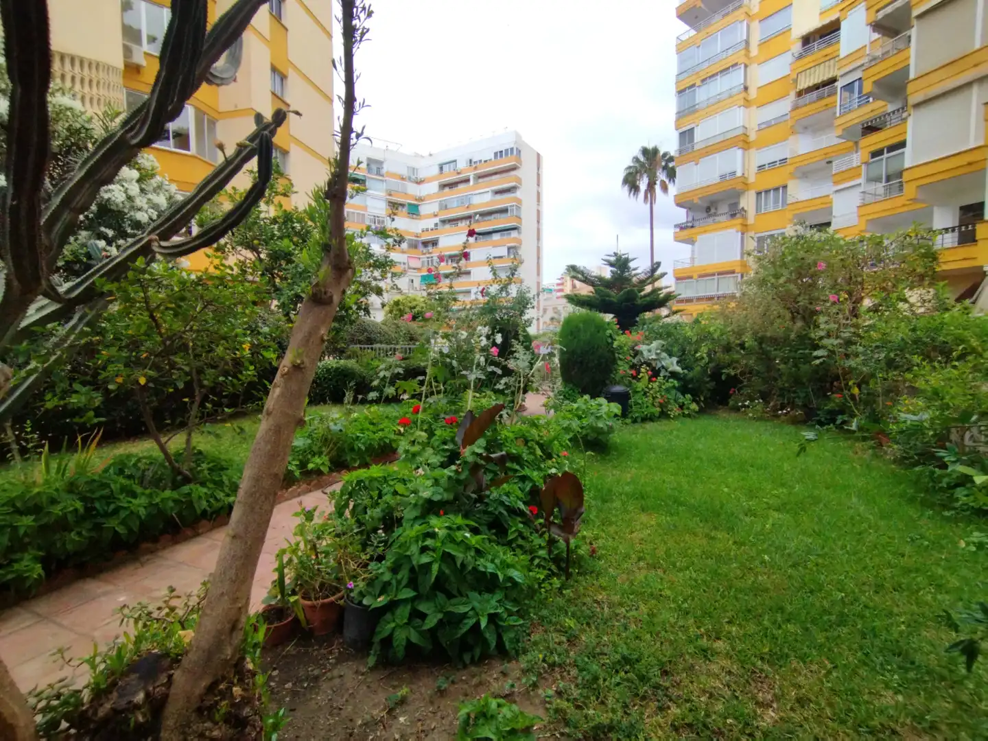 Wohnung mit Pool zum Verkauf in Avenida Doctor Marañón, imagen 19