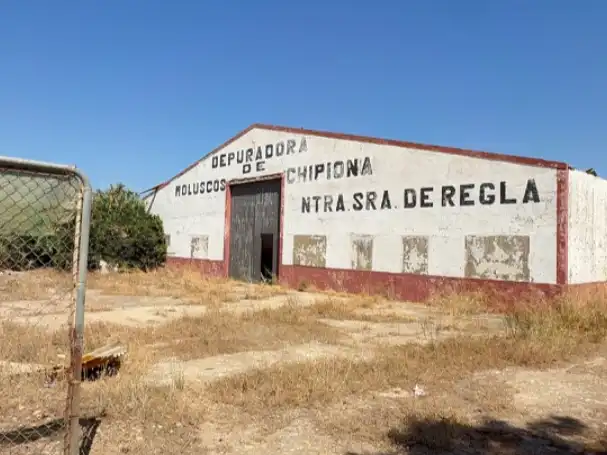 Exterior view of Industrial land for sale in Chipiona