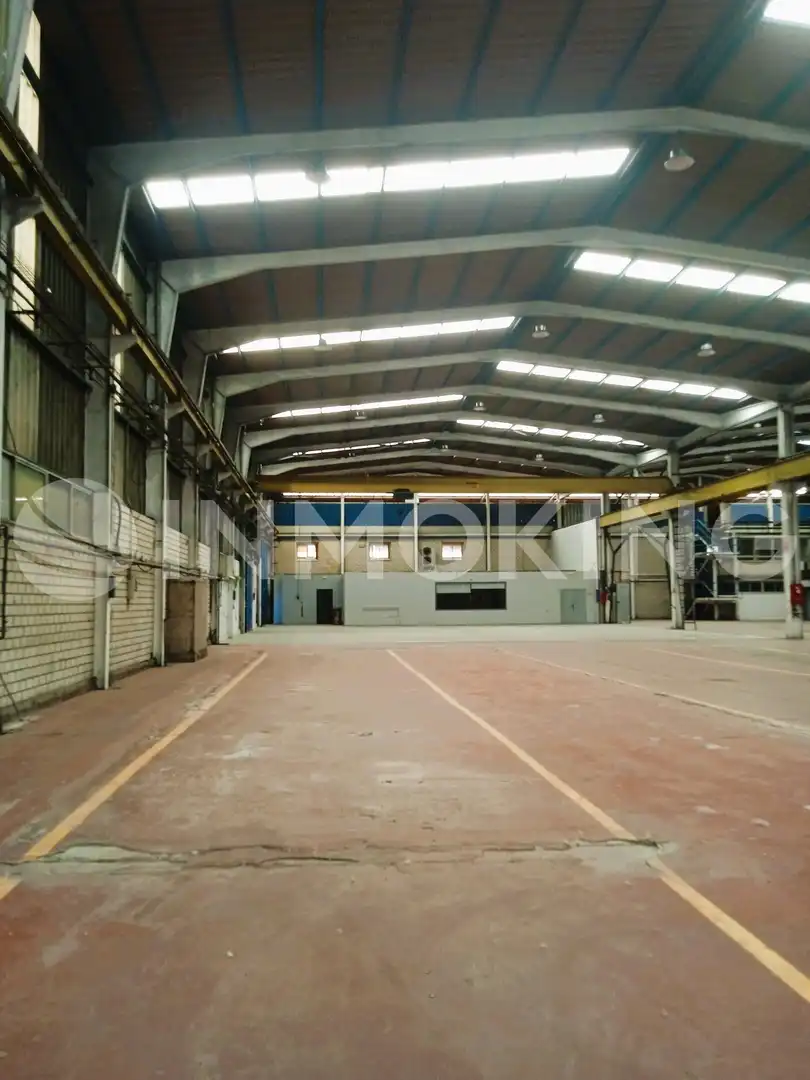 Industrial buildings for sale in Pinto