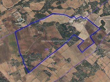 Terreni e lotti in vendita a Llucmajor pueblo