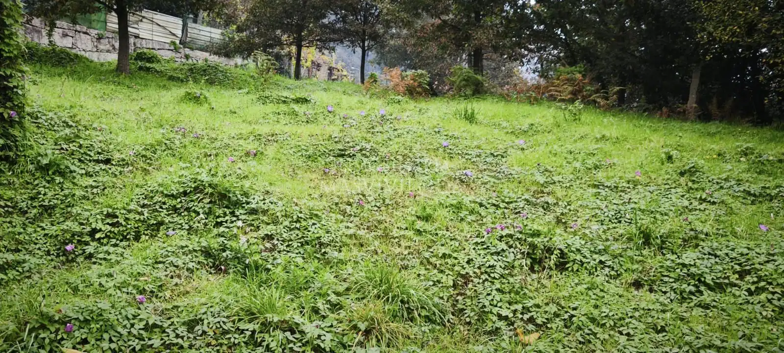 Terreny rústic en venda a Bouza (A)-Pontellas, imagen 4