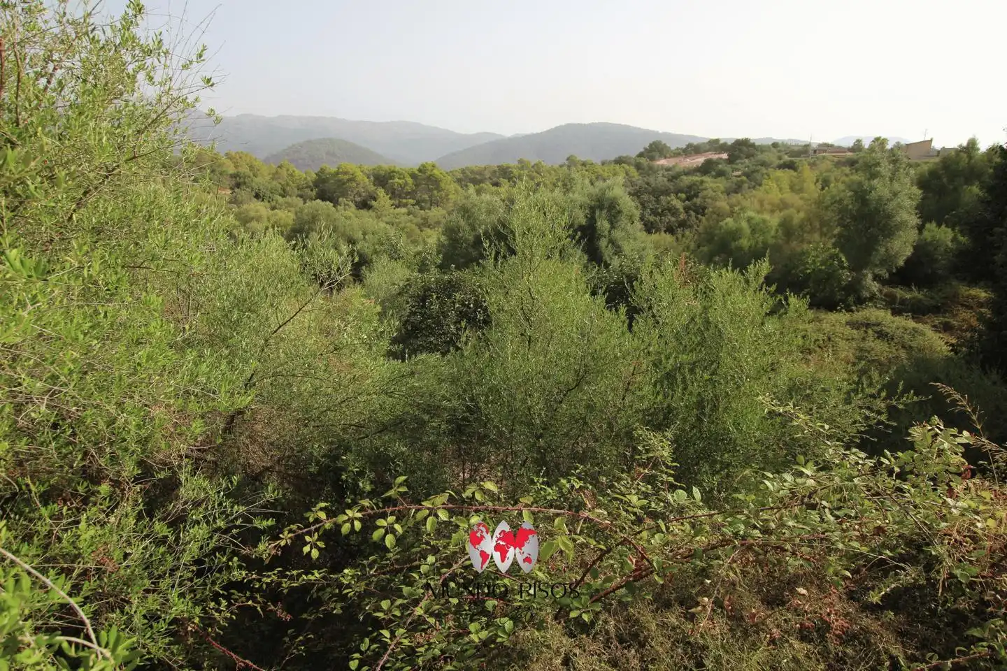 Terrenys i solars en venda a Camí d'Ullaró, imagen 10
