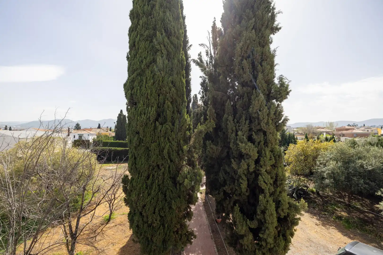 Chalet con piscina en venta en Calle Camino del Almendral 4, imagen 60