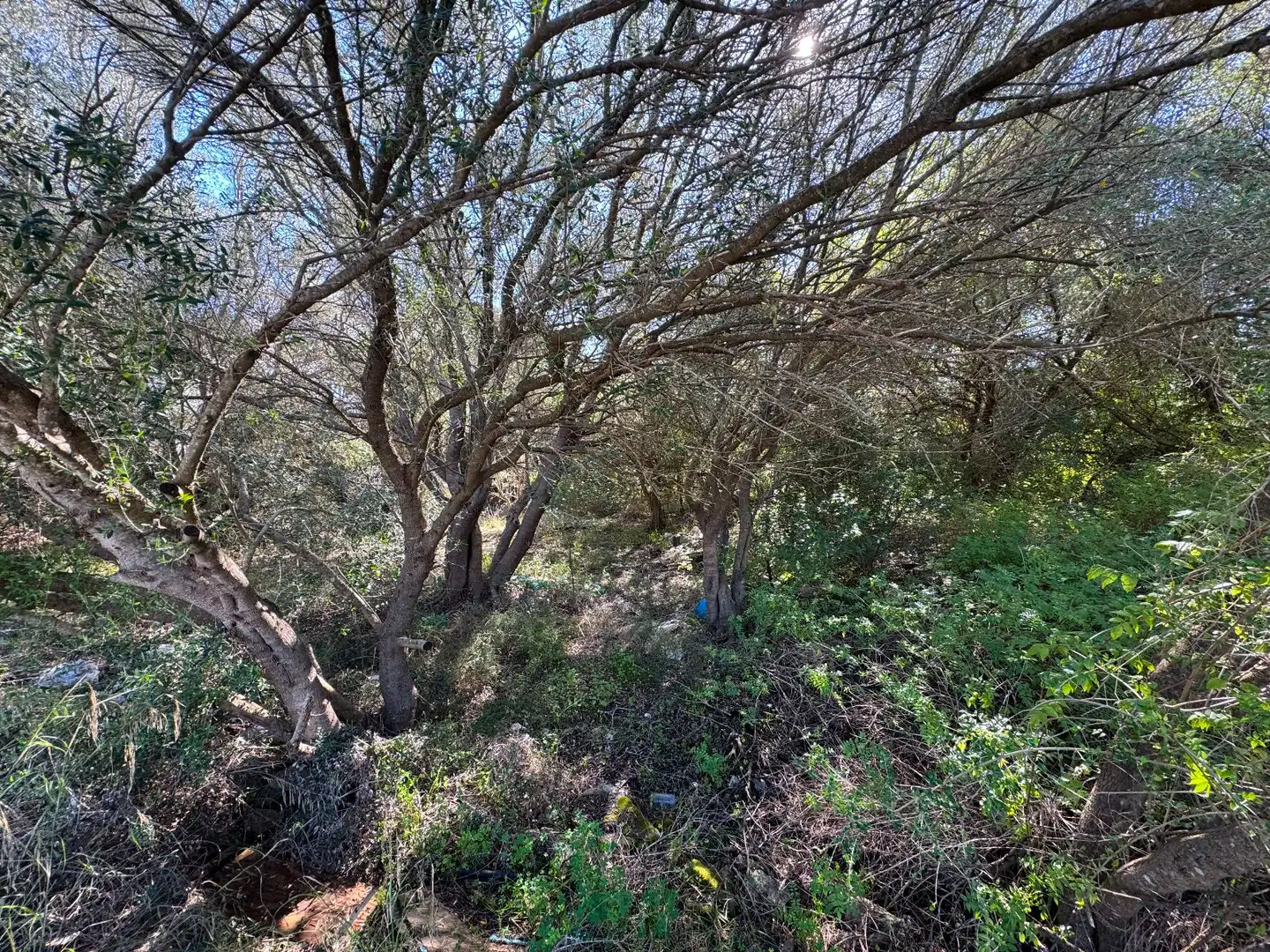 Wohnbaugrundstück zum Verkauf in Sa Pobla, imagen 7