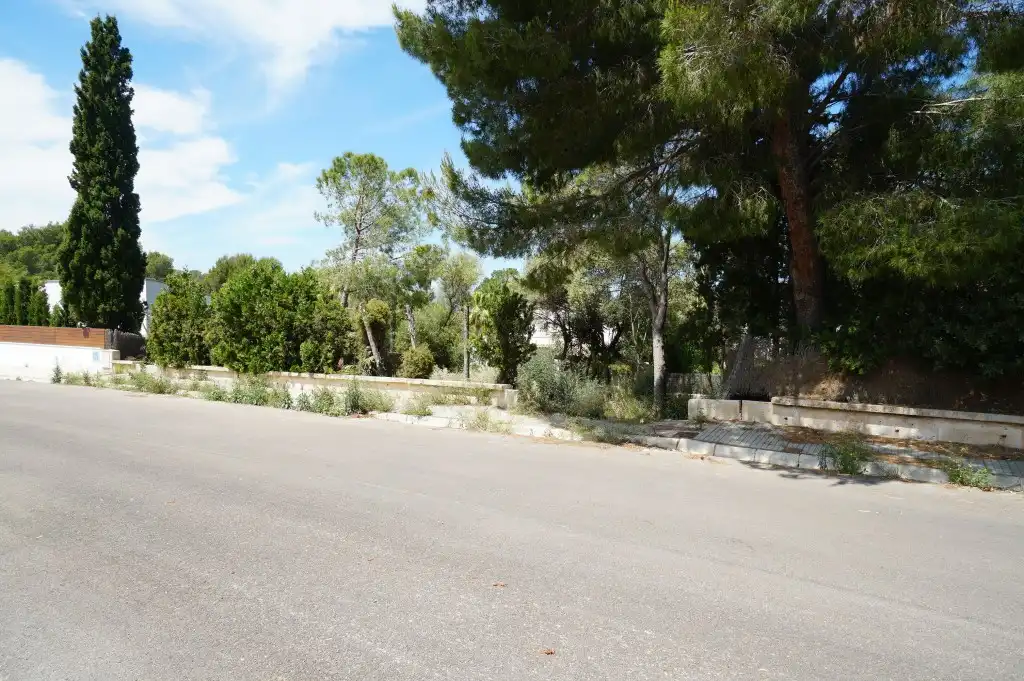 Rural land for sale in Bacarés - Manresa - Bonaire, imagen 17