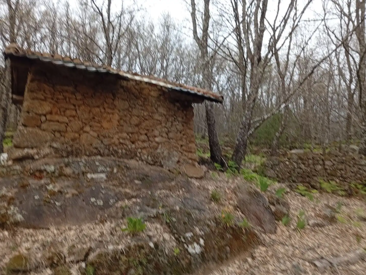 Terreni e lotti in vendita a Valverde de la Vera, imagen 114