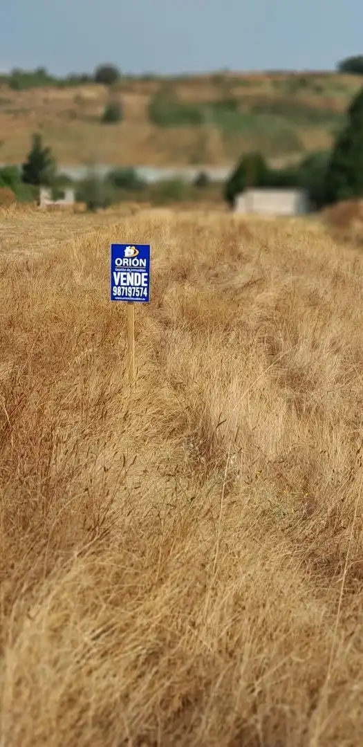 Terreni e lotti in vendita a Congosto