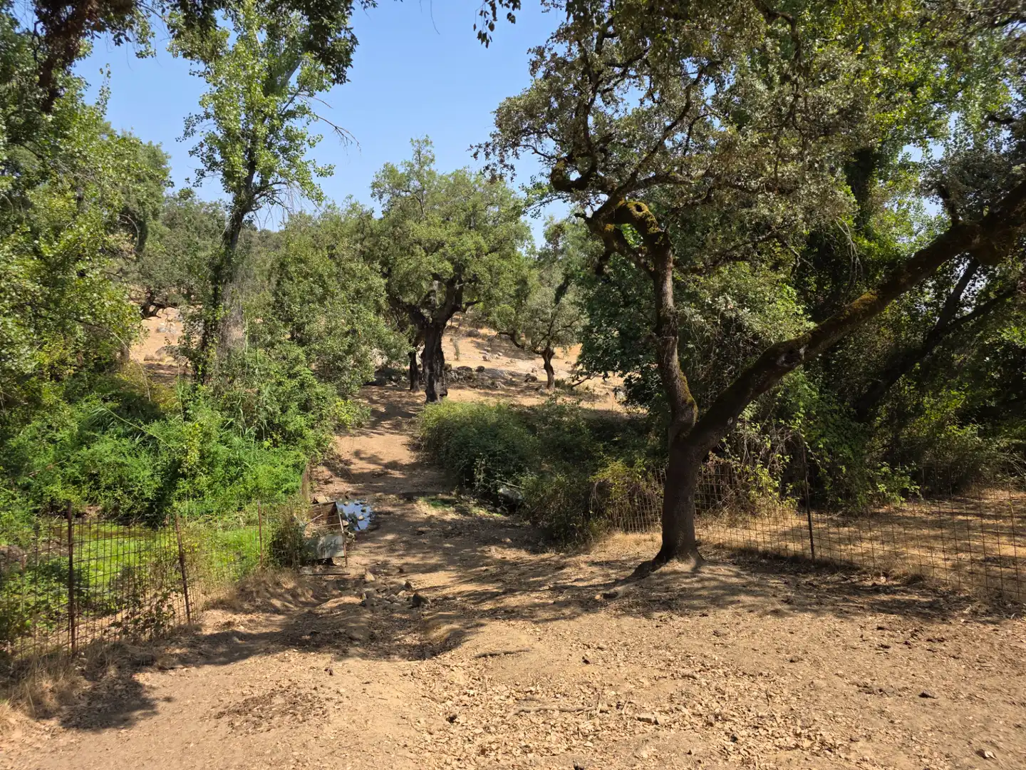 Terreno en venta en Sevilla