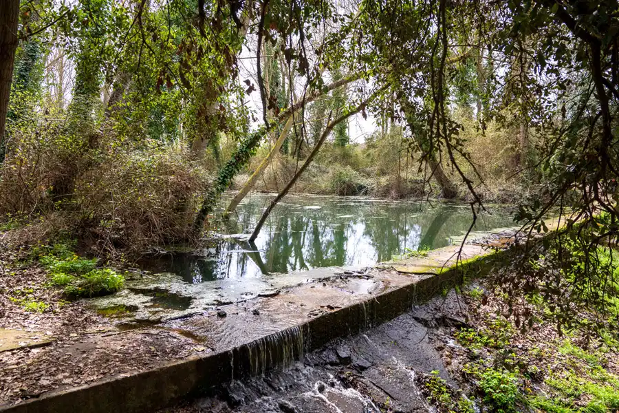 Vista exterior de Casa o xalet en venda en Corçà amb Jardí privat, Terrassa i Traster