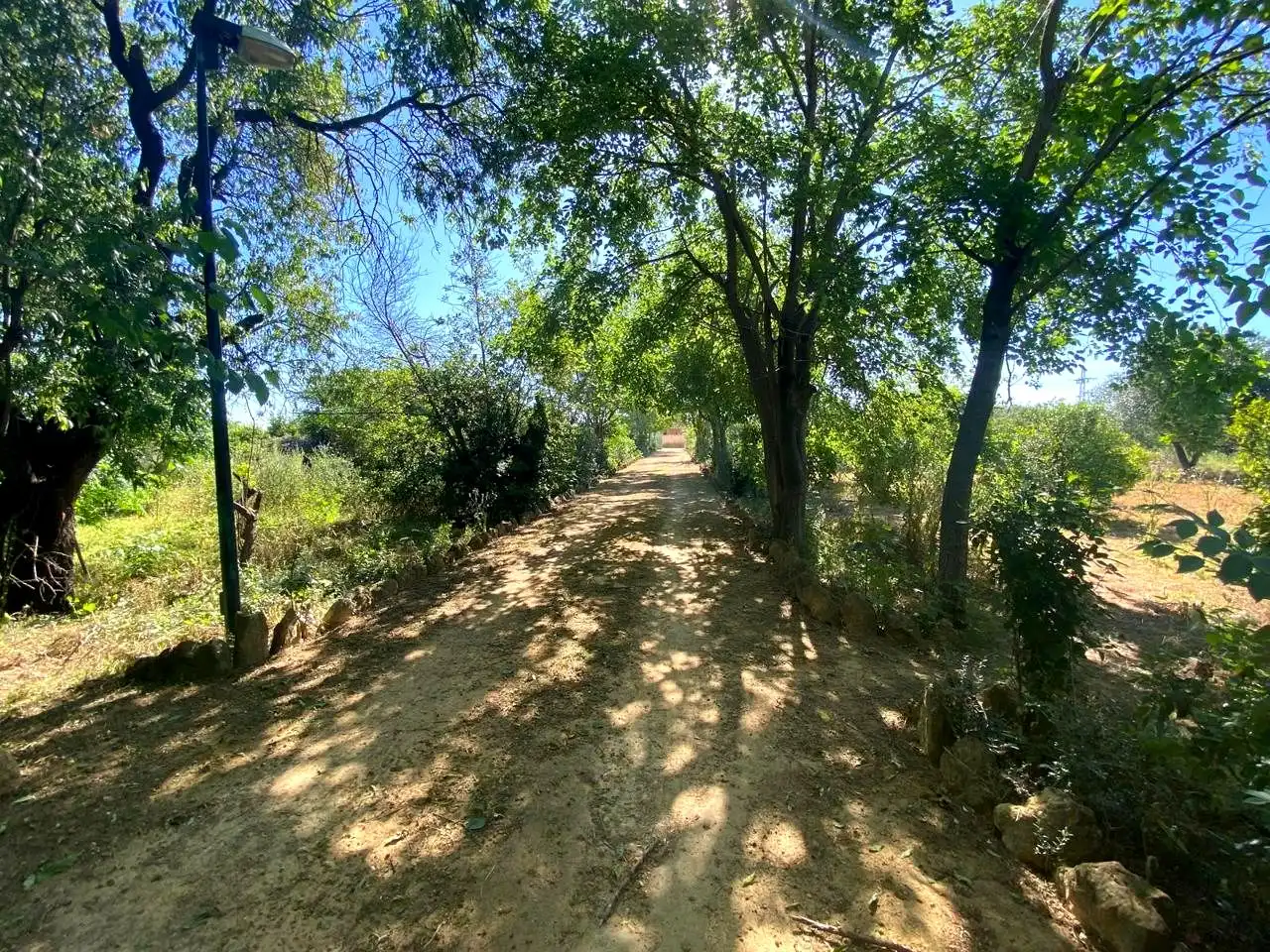 Vista exterior de Casa o xalet en venda en Alcalá de Guadaira amb Jardí privat, Terrassa i Piscina