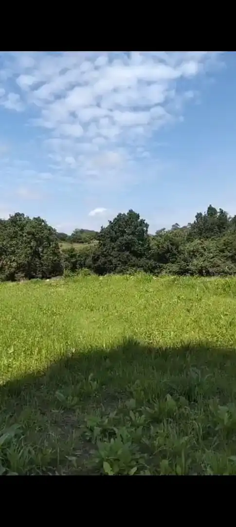 Finca rústica en venta en Valdáliga