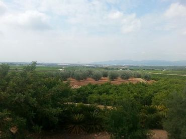 Terreno rustico in vendita a Oeste