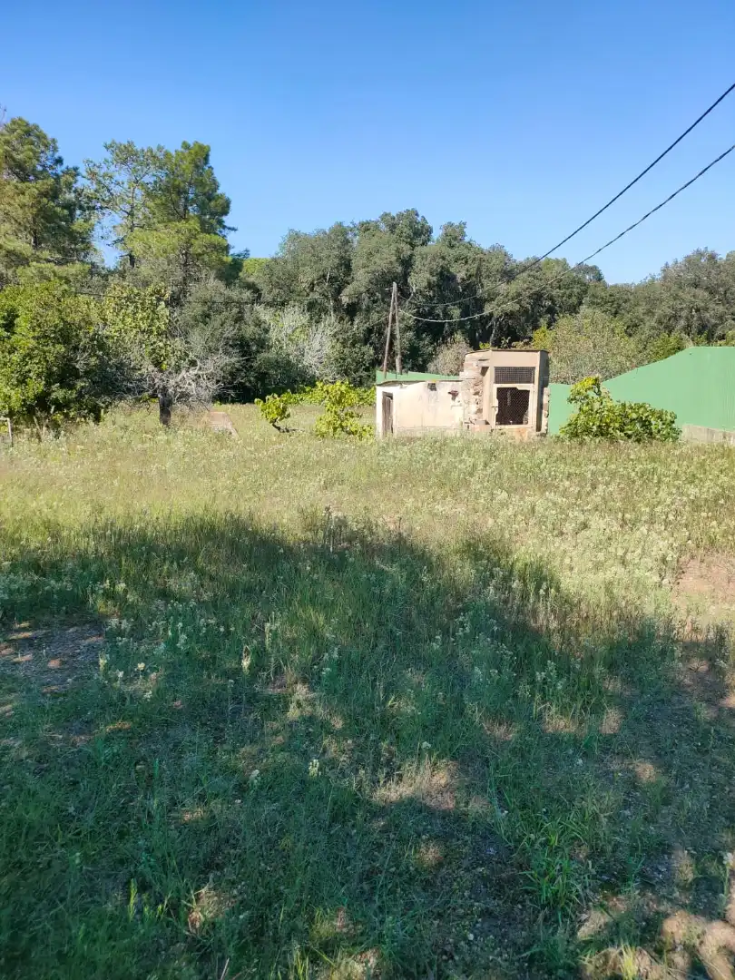 Finca rústica en venta en Mont-ras