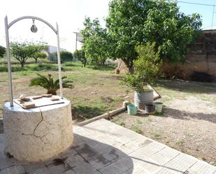 Garden of Country house for sale in San Pedro del Pinatar