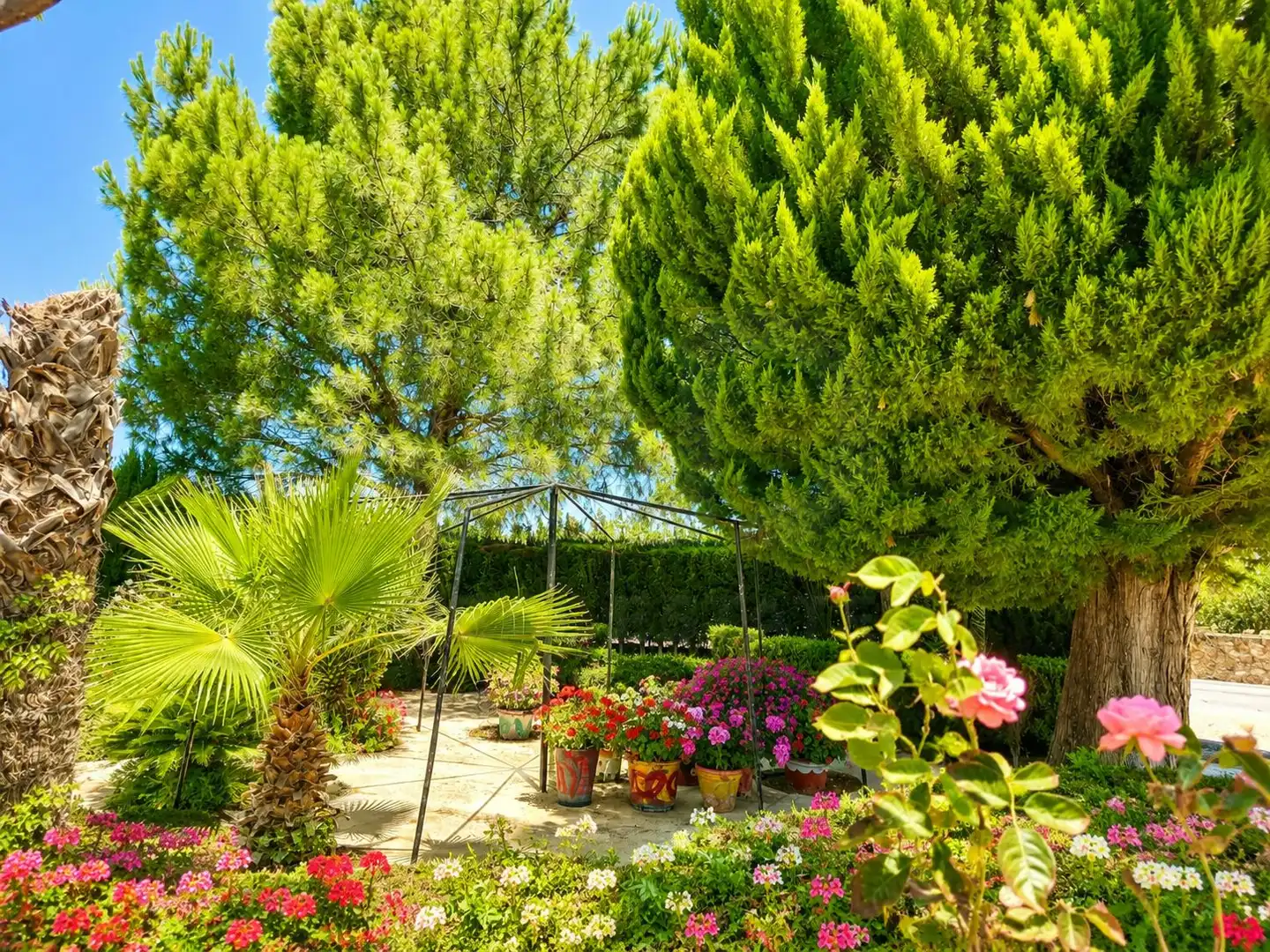 Casa en venta en Cieza, imagen 16