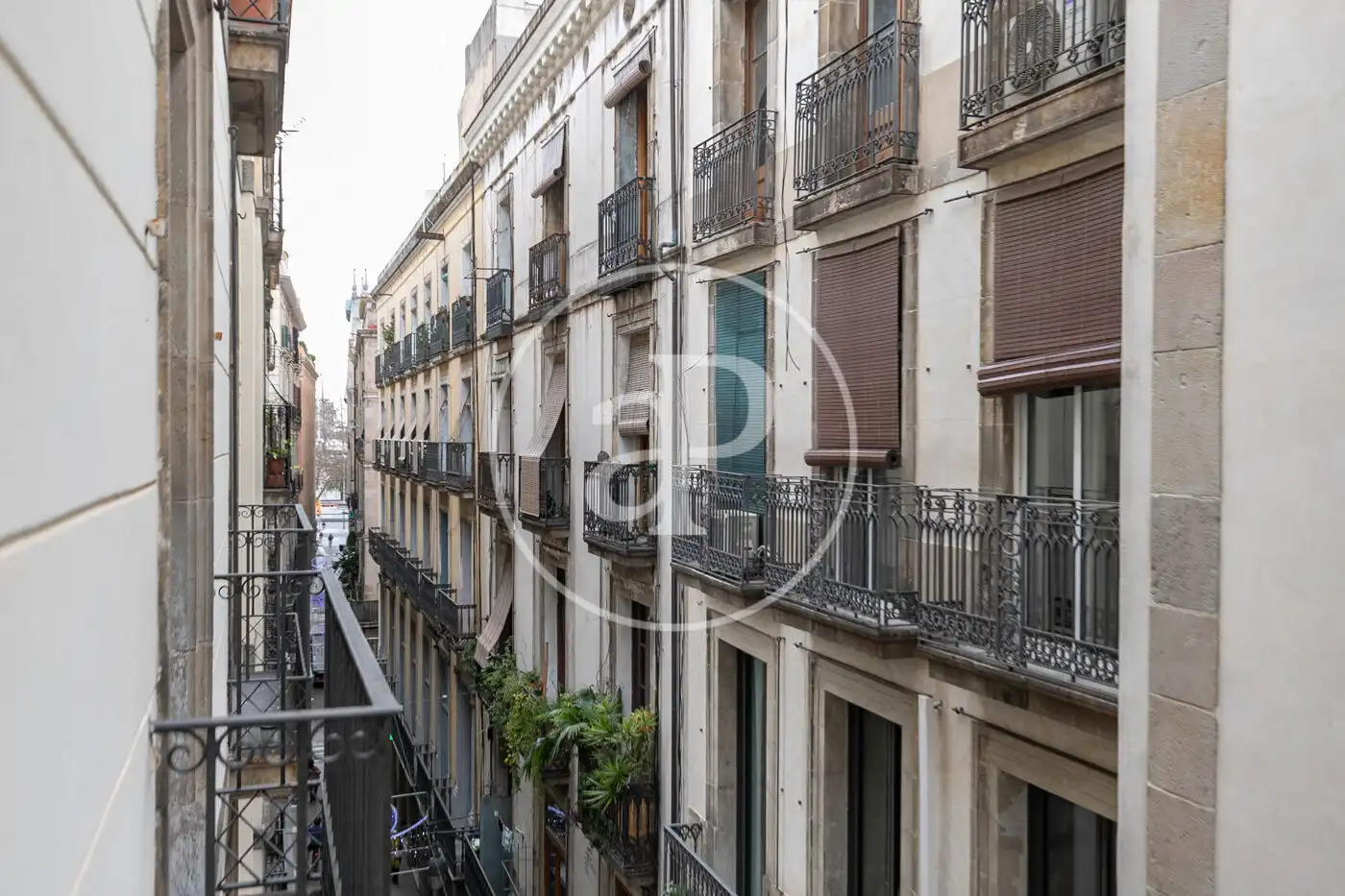 Pis en venda a Carrer d'Avinyó, Barri Gòtic