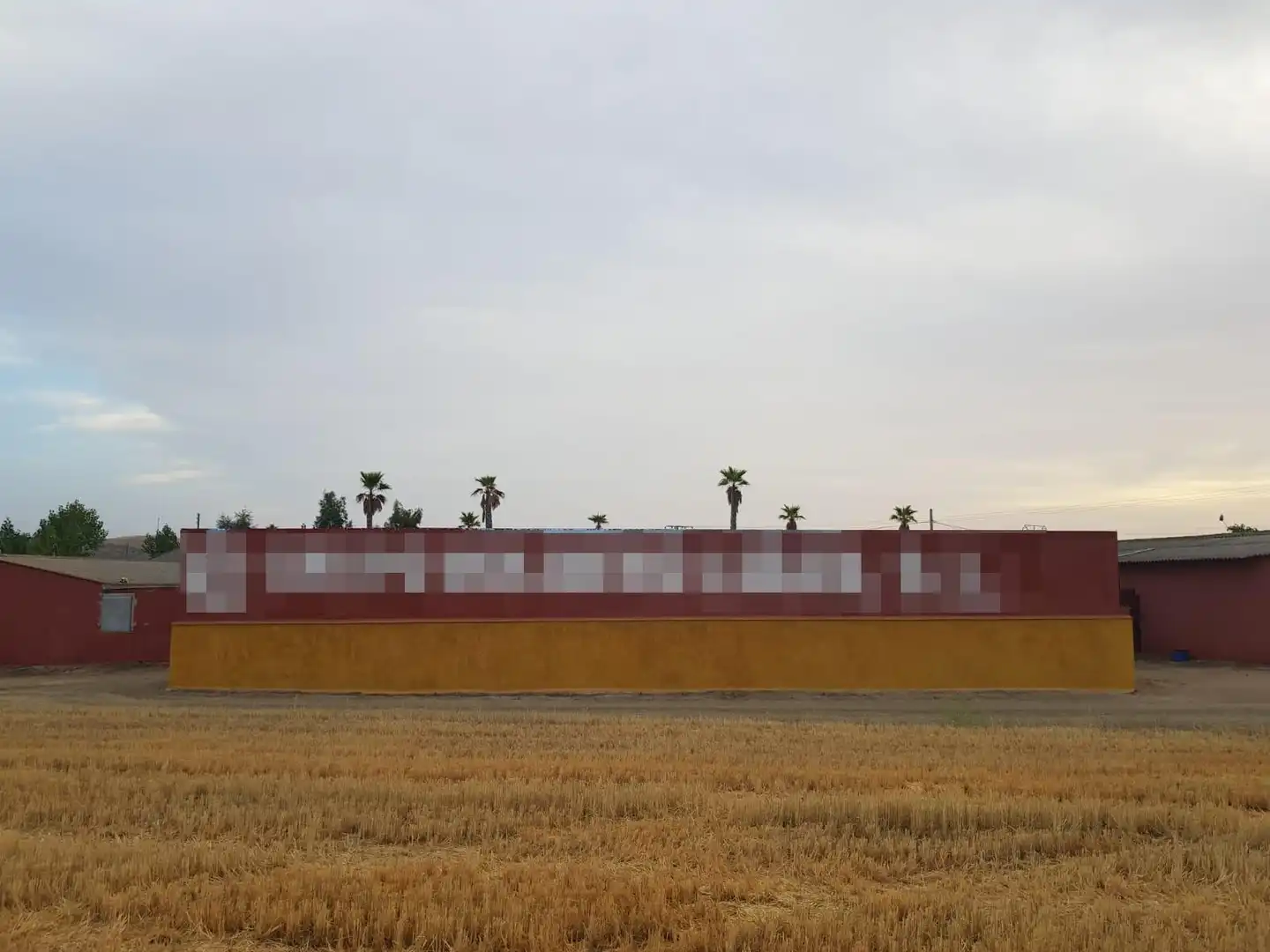 Vista exterior de Finca rústica en venta en Santa Cruz de Mudela