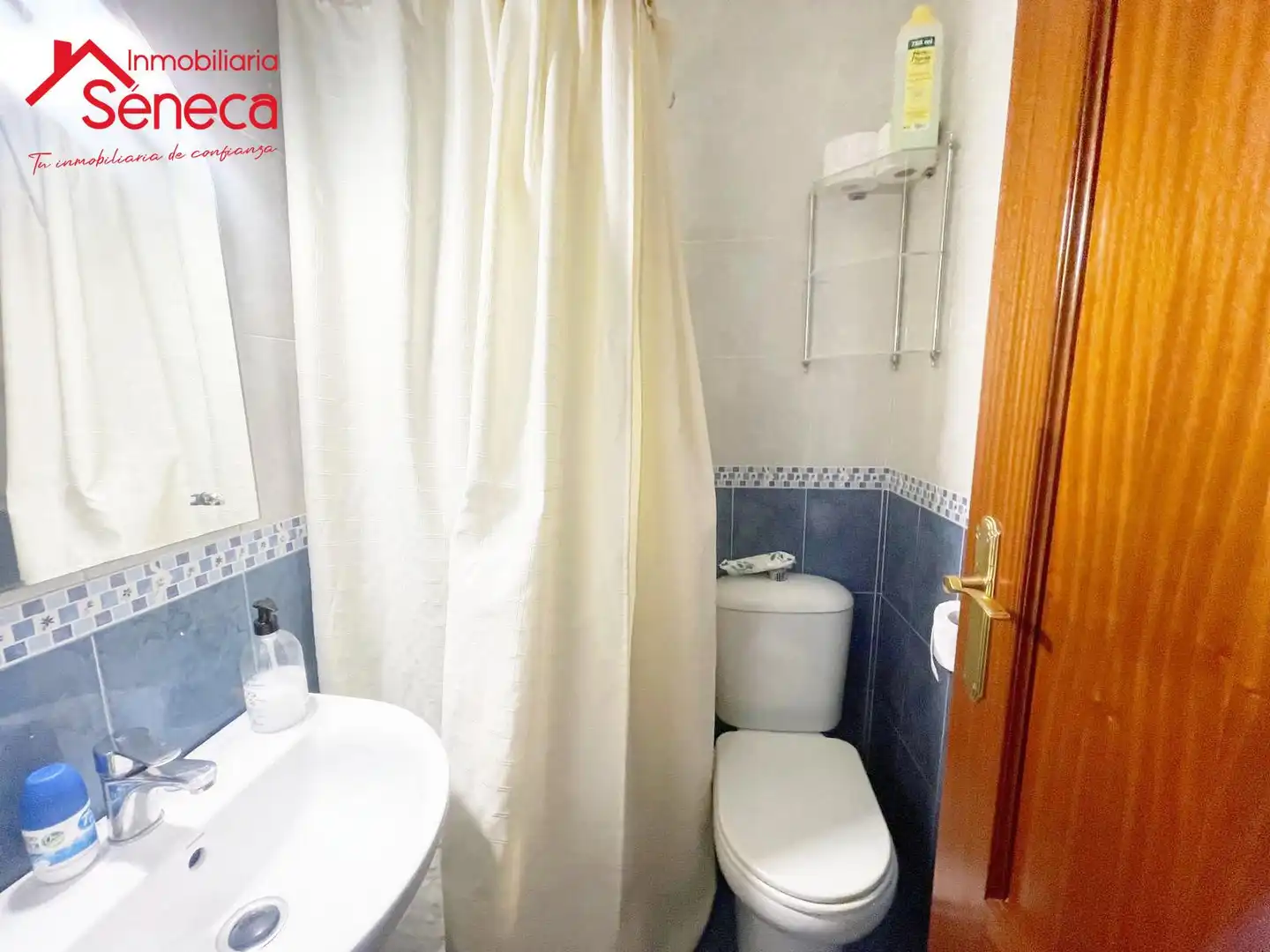 Flat with lift for sale in CONQUITADOR BENITO DE BAÑOS, imagen 29