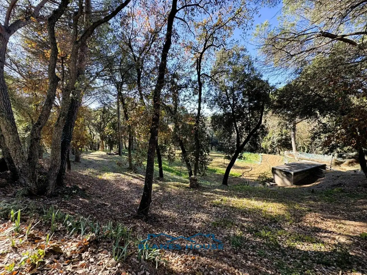 Finca rústica en venda en Sant Feliu de Buixalleu amb Calefacció, Jardí privat i Terrassa