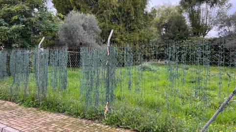 Photo 3 of Residential for sale in Esmeralda, Cavaleri, Mairena del Aljarafe