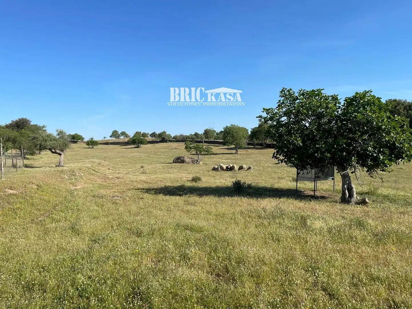 Casa o chalet en venta en Arroyo de la Luz con Terraza, Trastero y Piscina
